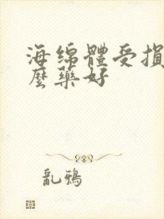 海绵体受损用什么药好