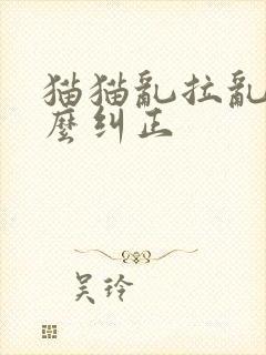 猫猫乱拉乱尿怎么纠正