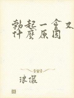 勃起一会又软了什么原因