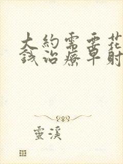 大约需要花多少钱治疗早射