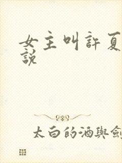 女主叫许夏的小说