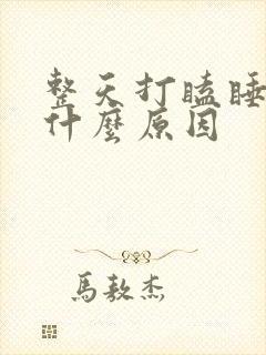 整天打瞌睡犯困什么原因