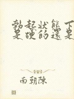 勃起状态下龟头是硬的还是软的