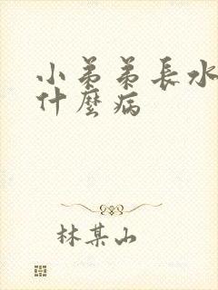 小弟弟长水泡是什么病