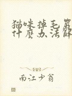 猫咪掉毛严重有什么办法解决