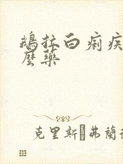 鹅拉白痢疾吃什么药