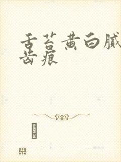 舌苔黄白腻厚有齿痕