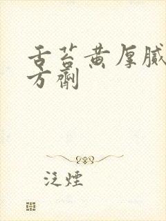 舌苔黄厚腻中药方剂