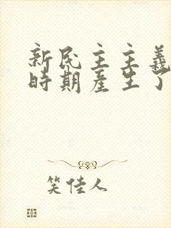 新民主主义革命时期产生了