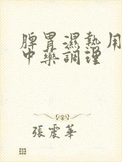 脾胃湿热用什么中药调理