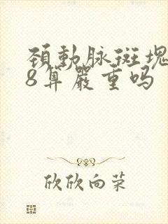 颈动脉斑块1.8算严重吗