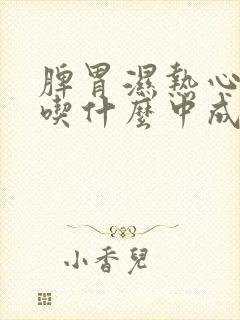 脾胃湿热心火旺吃什么中成药