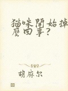 猫咪开始掉毛怎么回事?