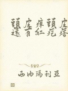 头皮痒头皮屑多还有红疙瘩