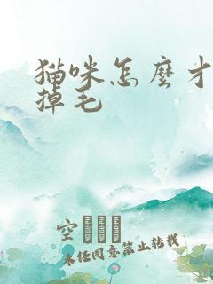 猫咪怎么才不会掉毛