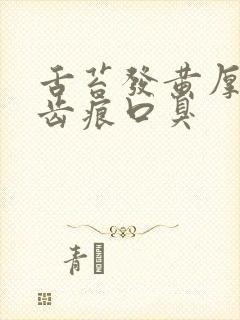 舌苔发黄厚腻有齿痕口臭