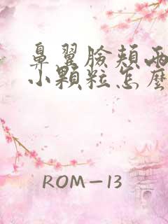 鼻翼脸颊两侧长小颗粒怎么去掉