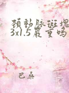 颈动脉斑块3.3x1.5严重吗