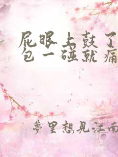 屁眼上鼓了一个包一碰就痛