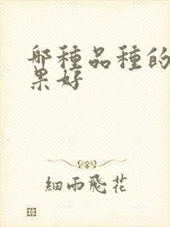 哪种品种的牛油果好