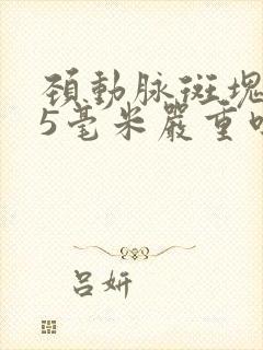 颈动脉斑块1.5毫米严重吗怎么治疗