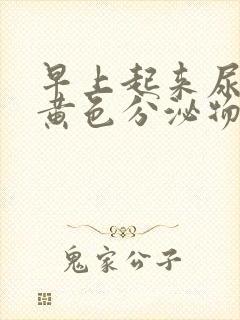 早上起来尿道有黄色分泌物