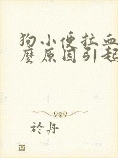 狗小便拉血是什么原因引起的呢