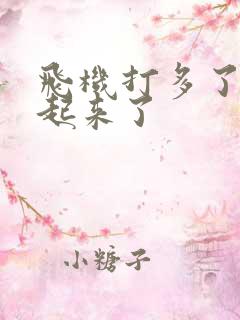 飞机打多了硬不起来了