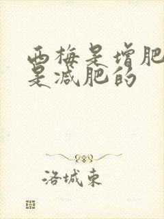 西梅是增肥的还是减肥的