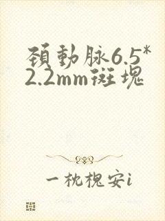 颈动脉6.5*2.2mm斑块