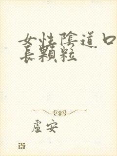 女性阴道口周围长颗粒