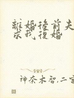 离婚后前夫哭着求我复婚