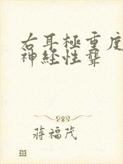 右耳极重度感音神经性聋