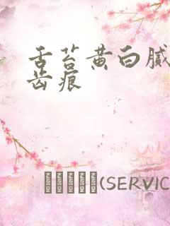 舌苔黄白腻厚有齿痕