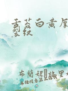 舌苔白黄厚腻有裂纹