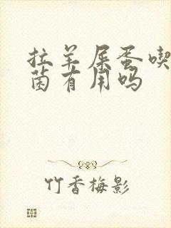 拉羊屎蛋吃益生菌有用吗