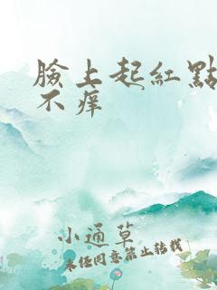 脸上起红点不痛不痒