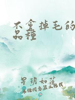 不会掉毛的猫的品种