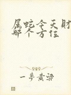 属蛇今天财运在哪个方位