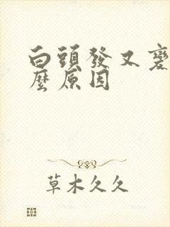 白头发又变黑什么原因