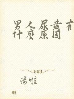 男人尿黄有沫是什么原因