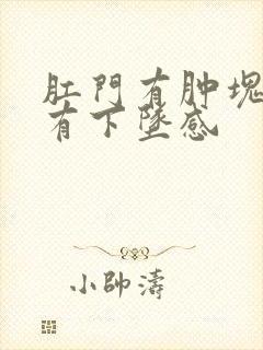 肛门有肿块疼痛有下坠感