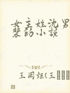 女主姓沈男主姓裴的小说