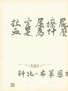 拉完屎擦屁股有血是为什么