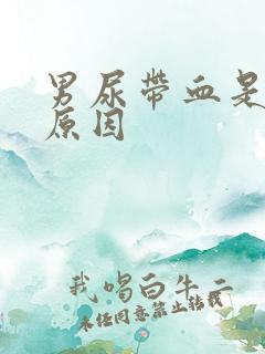 男尿带血是什么原因