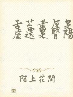 舌苔黄厚是肾阴虚还是肾阳