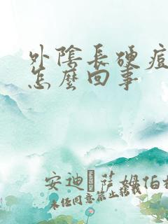 外阴长硬痘痘是怎么回事