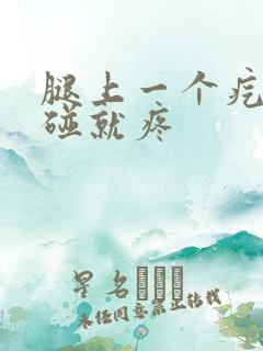 腿上一个疙瘩一碰就疼