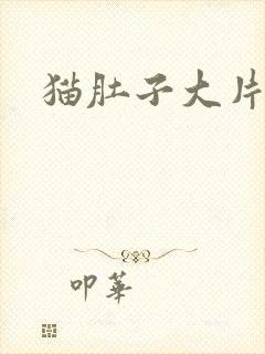 猫肚子大片掉毛