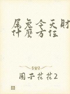 属兔今天财运在什么方位